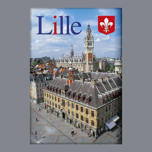 LILLE - VIEILLLE BOURSE VUE AERIENNE