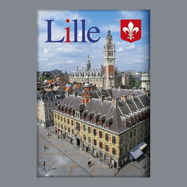 LILLE - VIEILLLE BOURSE VUE AERIENNE